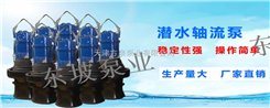 天津东坡泵业QSZ/QSH型充水式轴（混）流潜水电泵