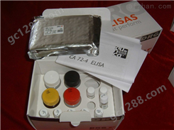 小鼠兴奋性氨基酸转运蛋白2（EAAT2）ELISA试剂盒