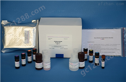 小鼠血清淀粉样蛋白A2（SAA2）ELISA试剂盒