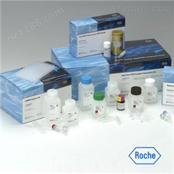 小鼠血管抑素（ANG）ELISA试剂盒
